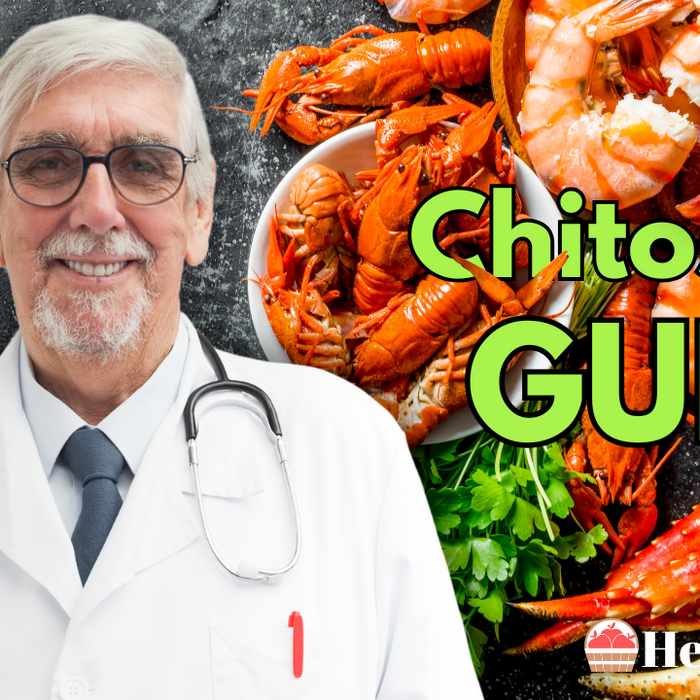 Chitosan Guide