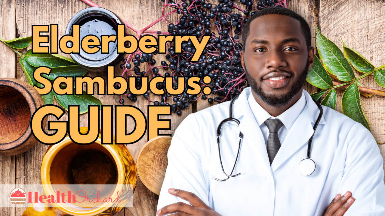 Elderberry Sambucus Guide