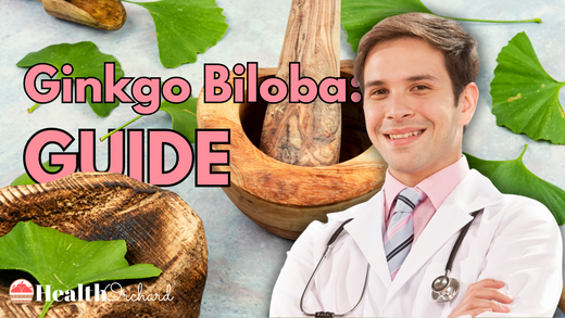 Ginkgo Biloba Guide
