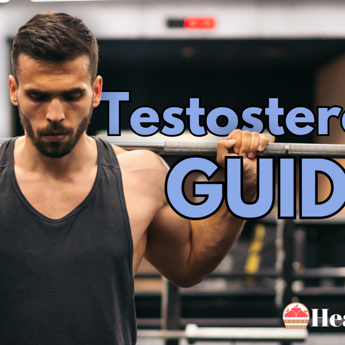 Testosterone: Guide