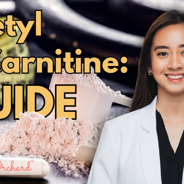 Acetyl L-Carnitine Guide