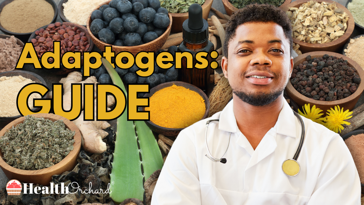 Adaptogens: Guide | Health Orchard