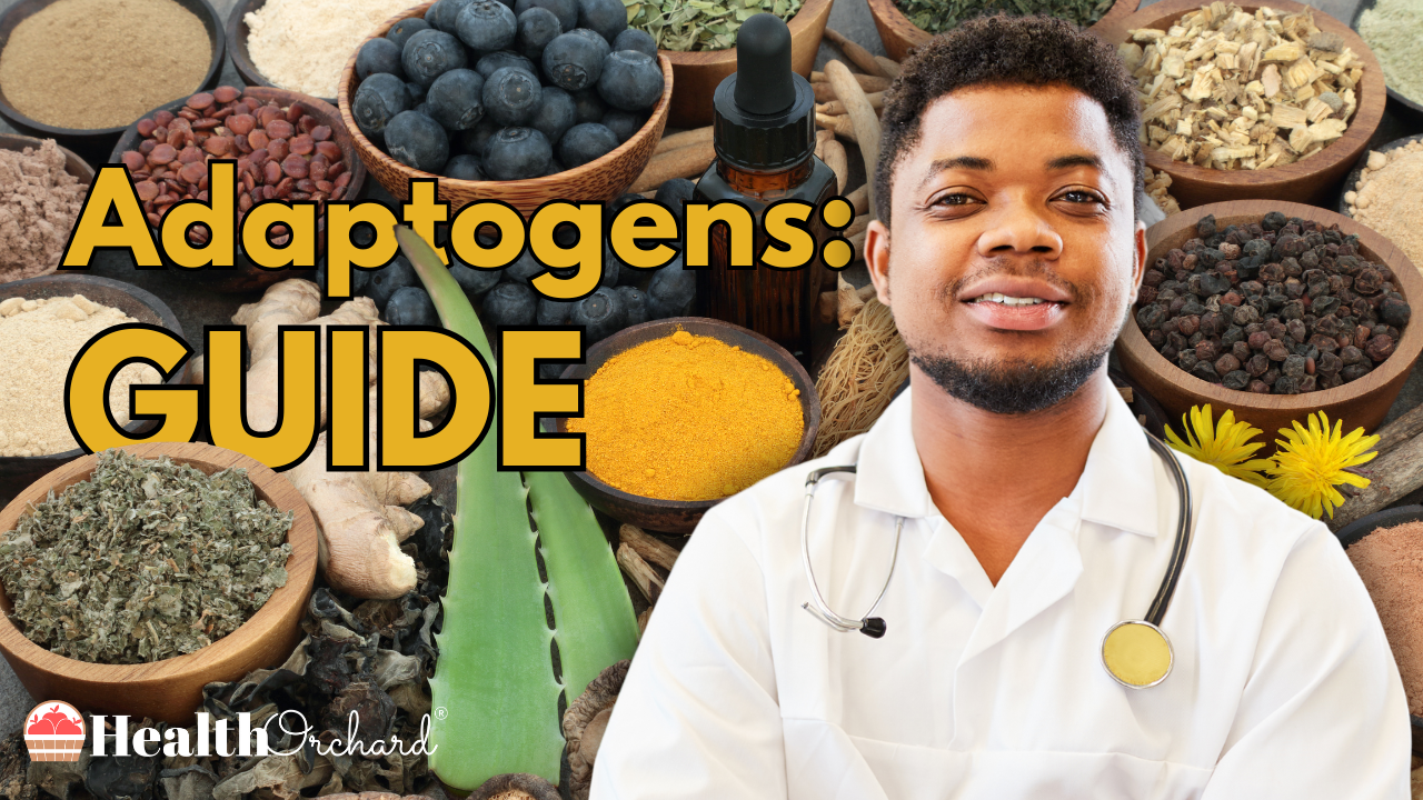 Adaptogens Guide