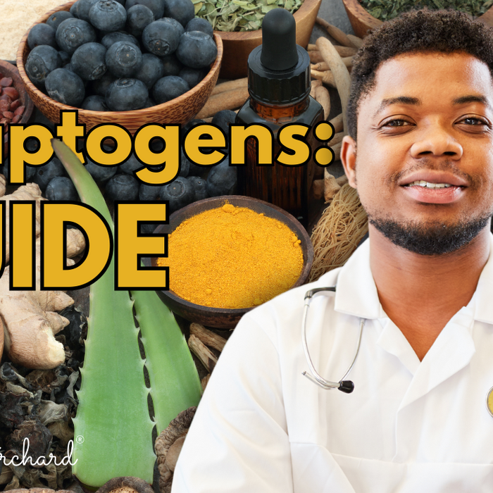 Adaptogens Guide