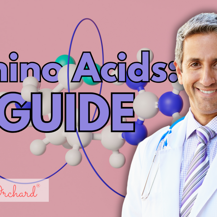 Amino Acids Guide