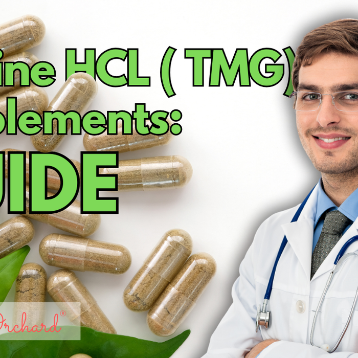 Betaine HCL (TMG) Supplements Guide