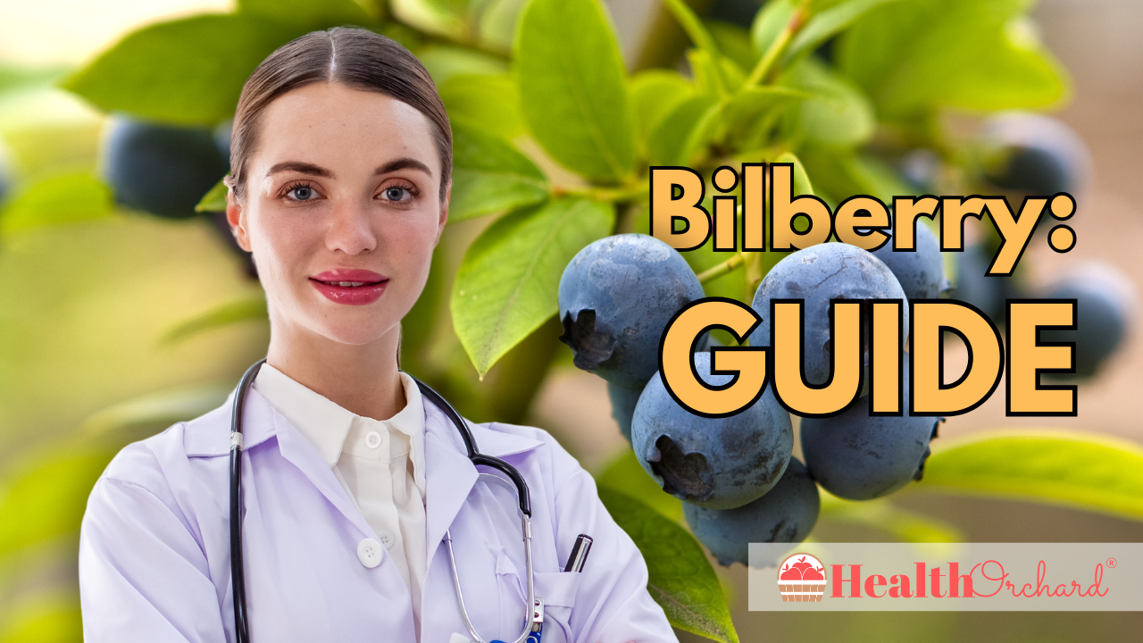 Bilberry Guide