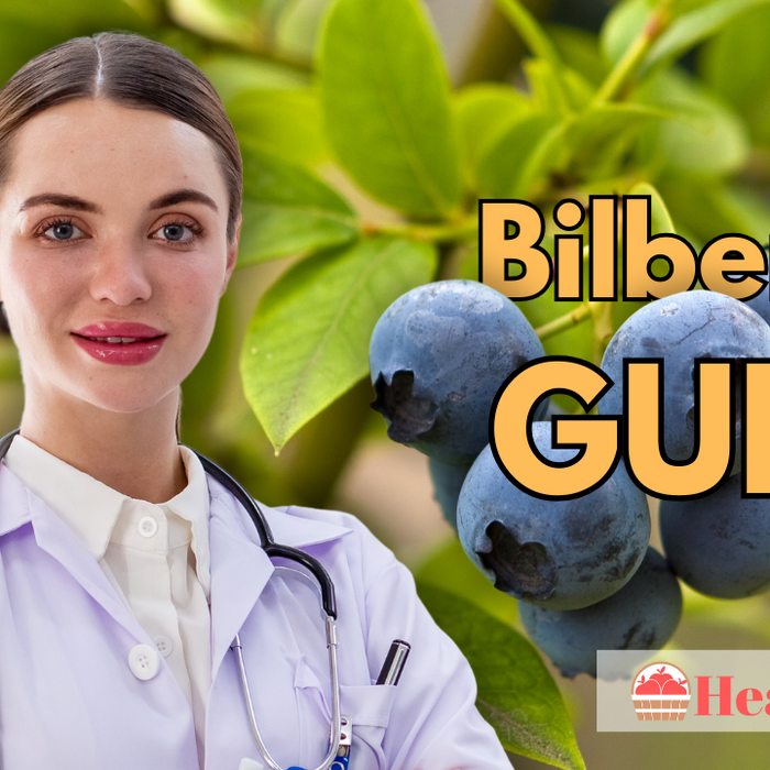 Bilberry Guide