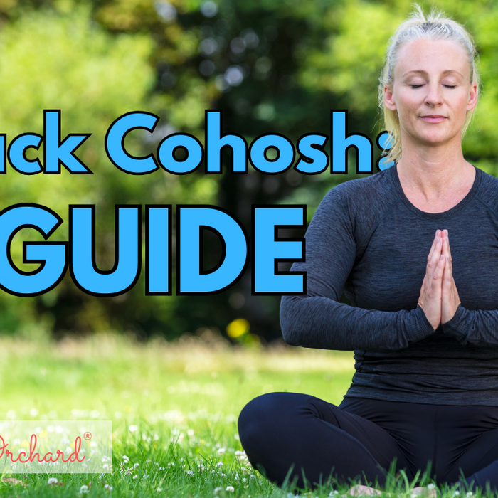 Black Cohosh Guide