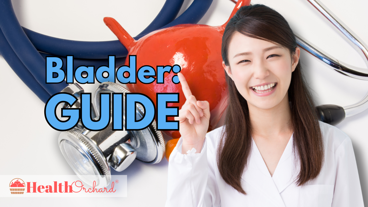 Bladder Guide