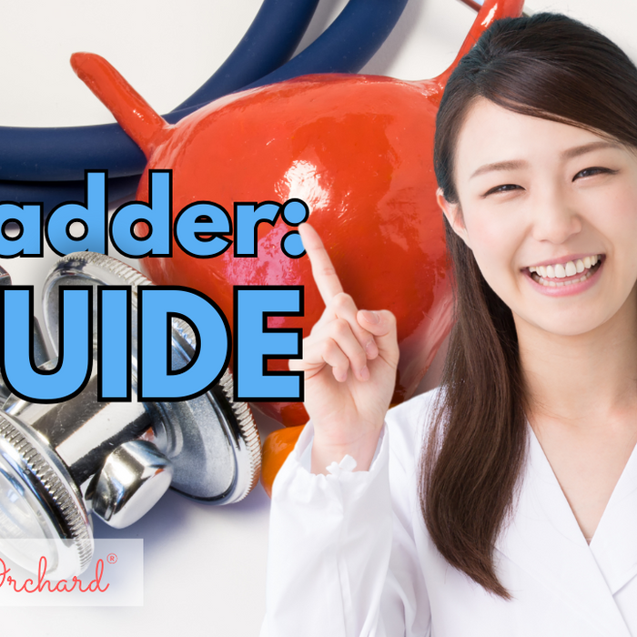 Bladder Guide