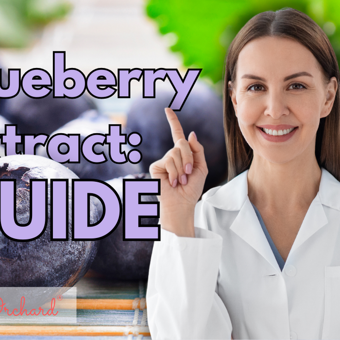 Blueberry Extract Guide