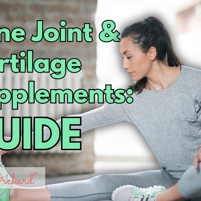 Bone Joint & Cartilage Supplements Guide