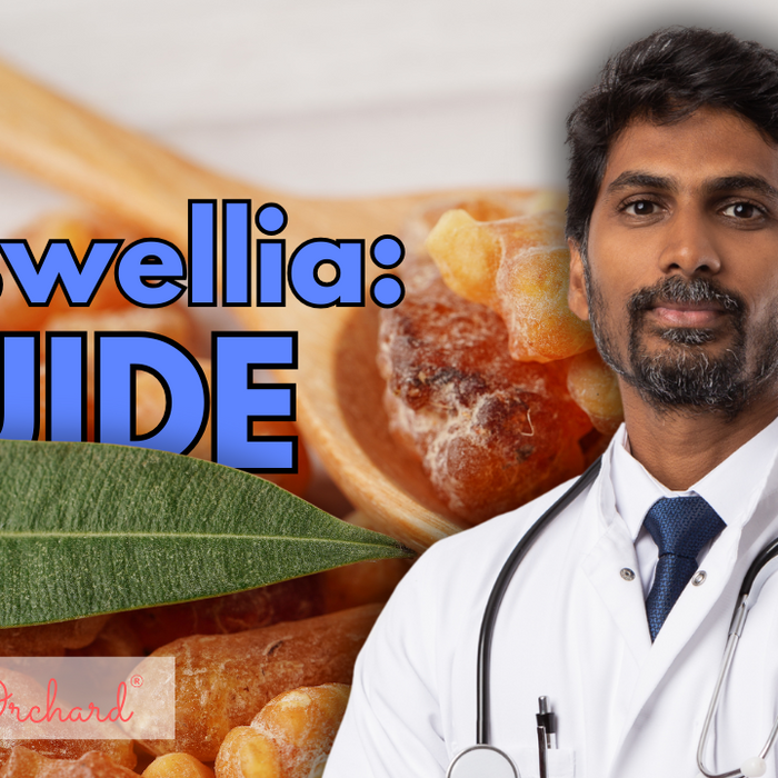 Boswellia Guide