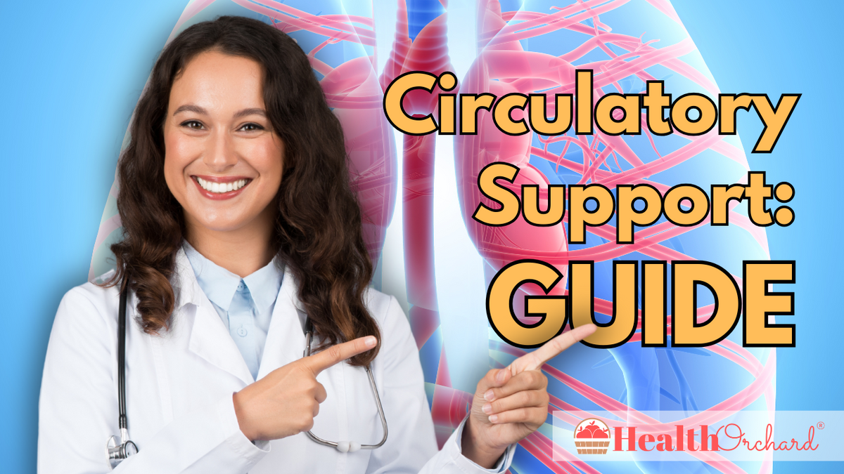 Circulatory Support: Guide | Health Orchard