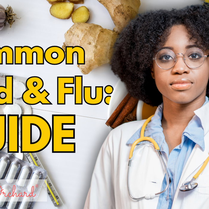 Common Cold & Flu Guide