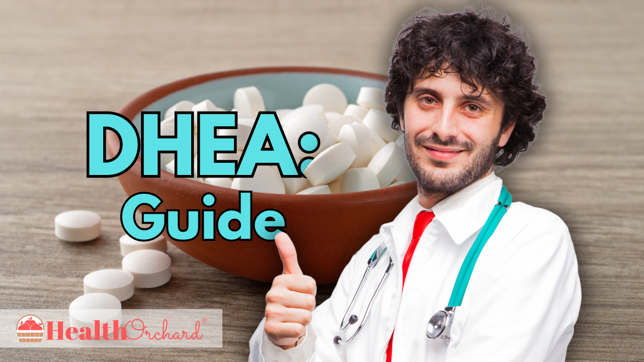 DHEA Guide