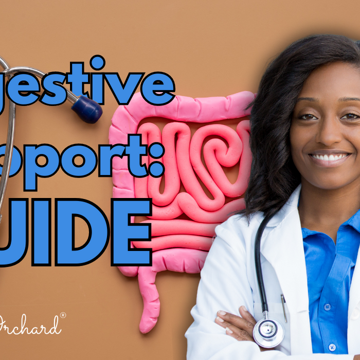 Digestive Support Guide