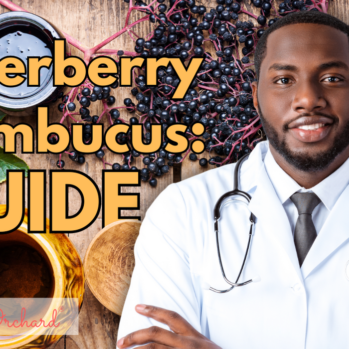 Elderberry Sambucus Guide