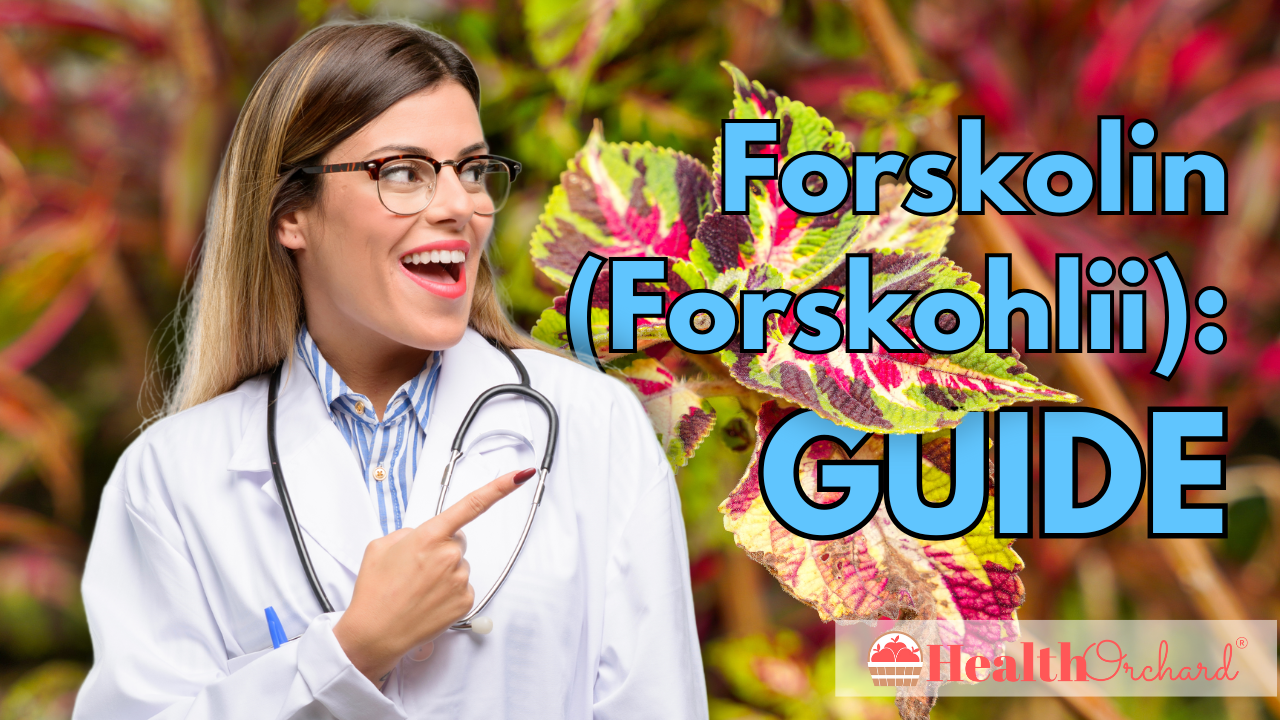 Forskolin (Forskohlii) Guide