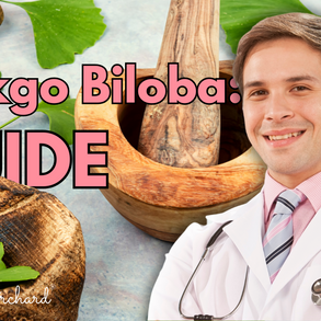 Ginkgo Biloba Guide