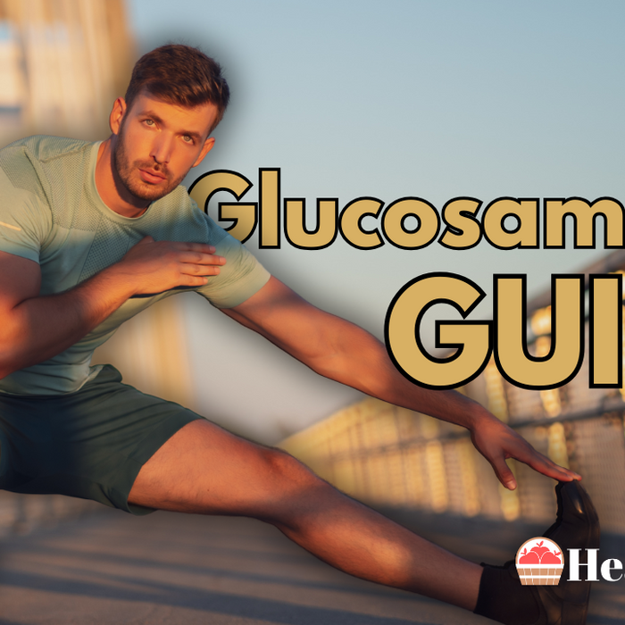 Glucosamine Guide