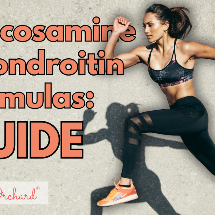 Glucosamine Chondroitin Formulas Guide