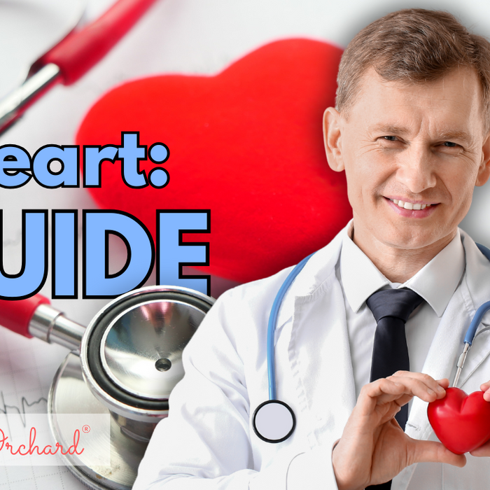 Heart Guide