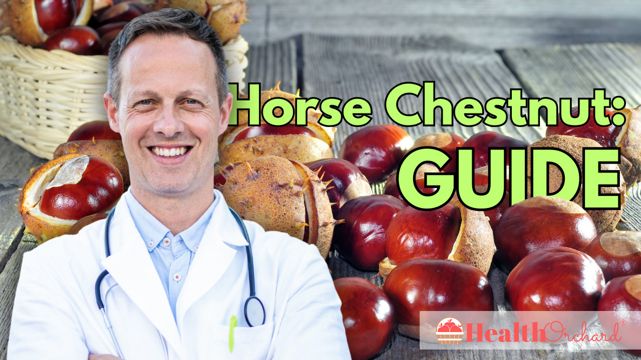 Horse Chestnut Guide