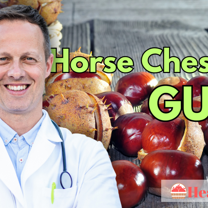 Horse Chestnut Guide