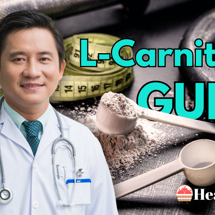 L-Carnitine Guide