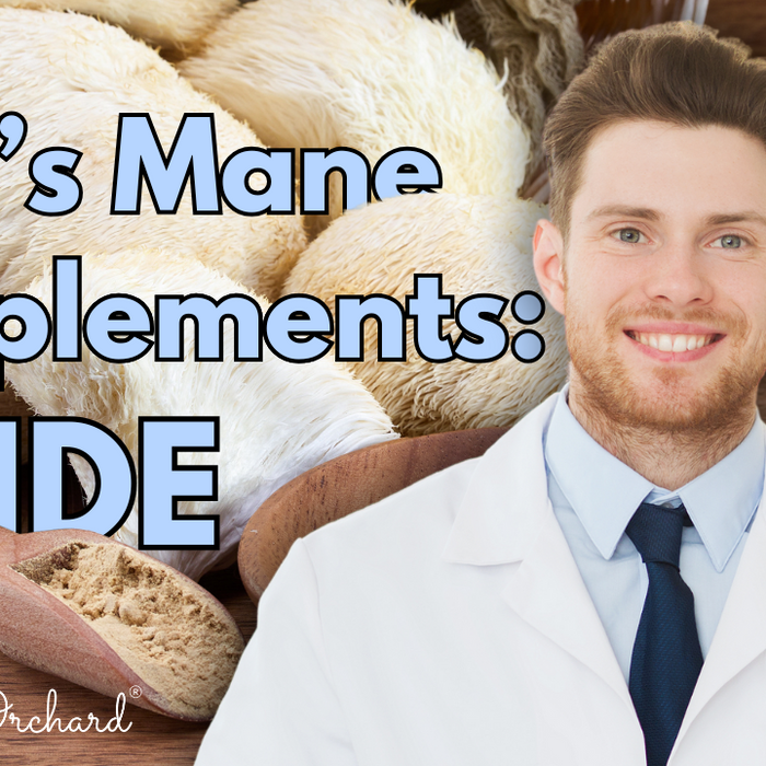 Lions Mane Supplements Guide