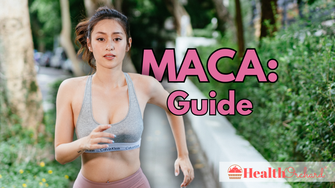 Maca Guide