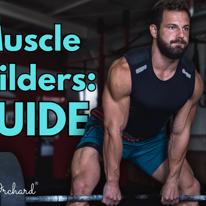 Muscle Builders Guide