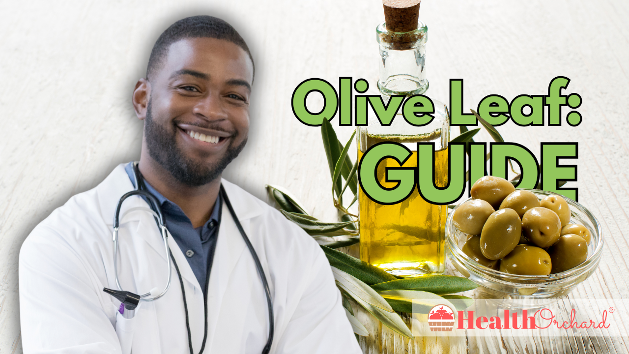 Olive Leaf Guide