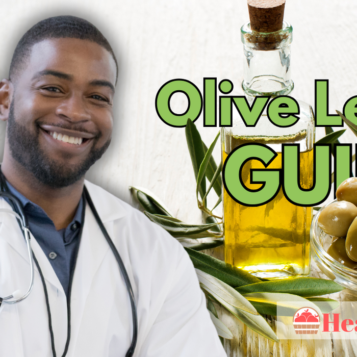 Olive Leaf Guide