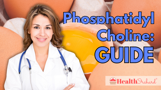 Phosphatidylcholine Guide