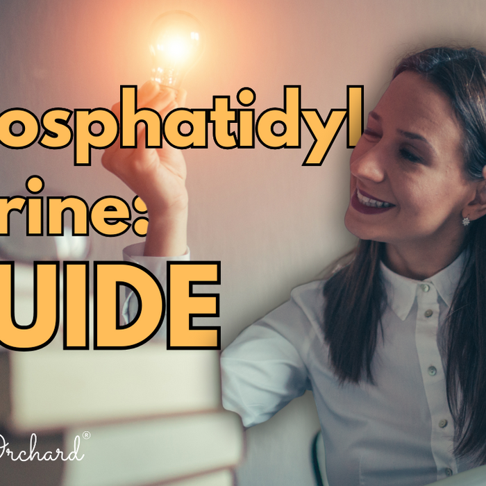 Phosphatidylserine Guide