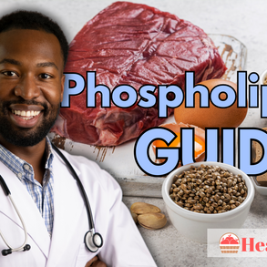 Phospholipids Guide