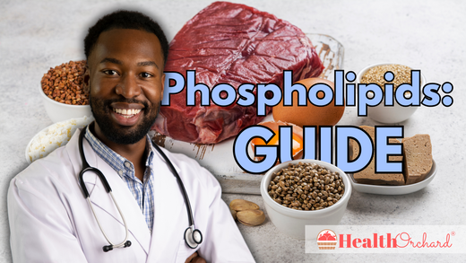 Phospholipids Guide