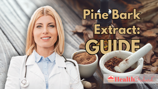 Pine Bark Extract Guide