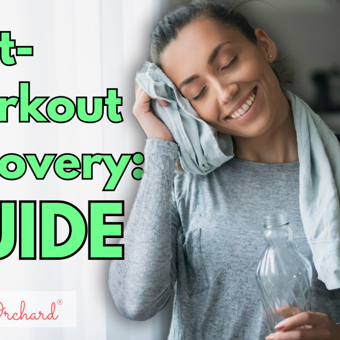 Post-Workout Recovery Guide