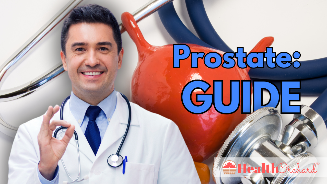 Prostate Guide