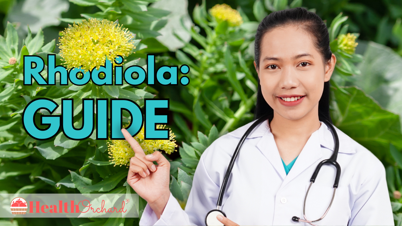 Rhodiola Guide