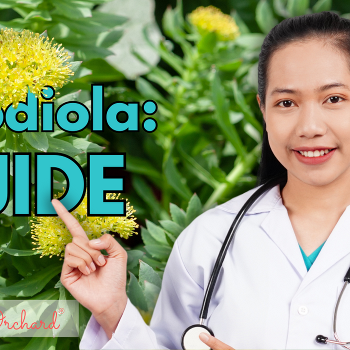 Rhodiola Guide