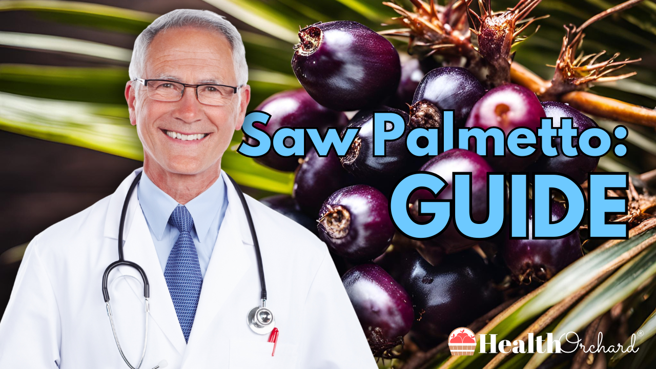 Saw Palmetto Guide