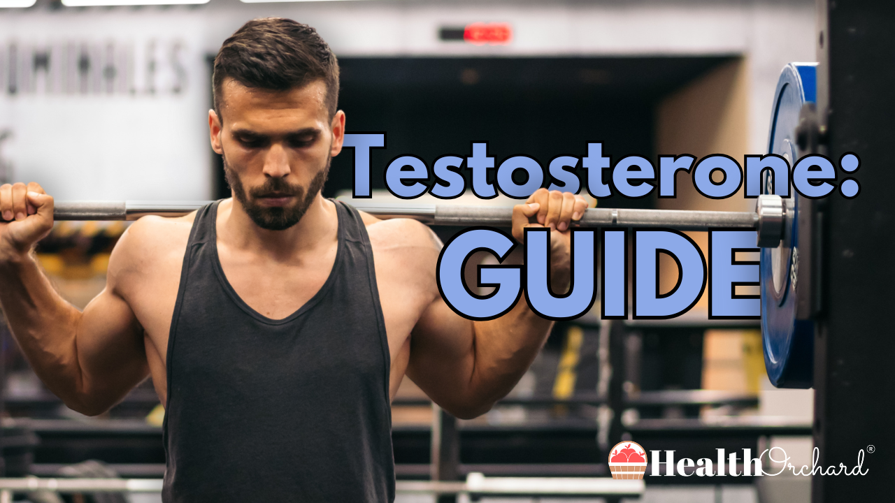 Testosterone: Guide