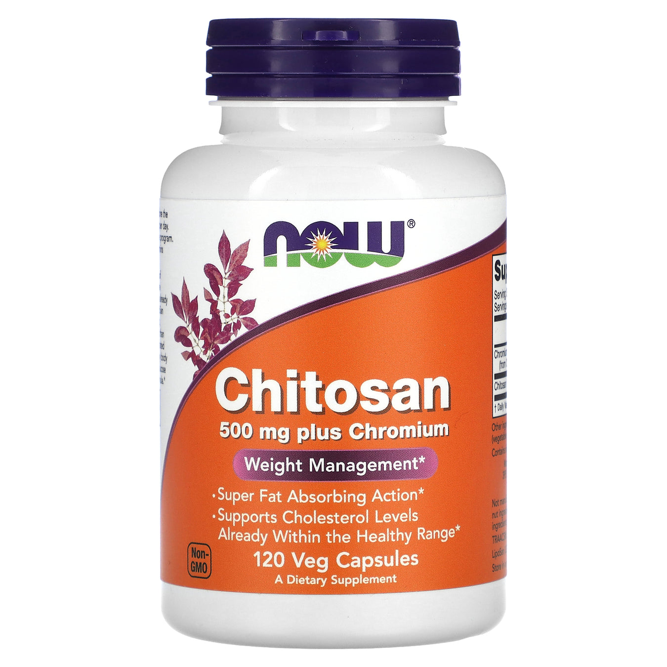 Chitosan